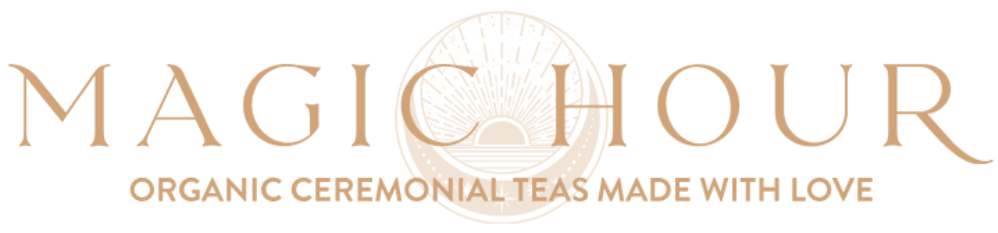 Webinar Logo