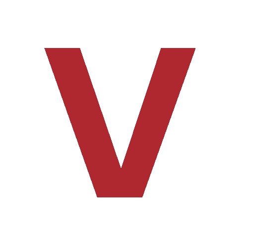 Webinar logo