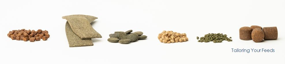 Bannière du webinaire